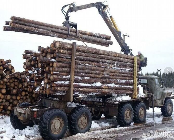Водитель лесовоза с кат Е фискарс