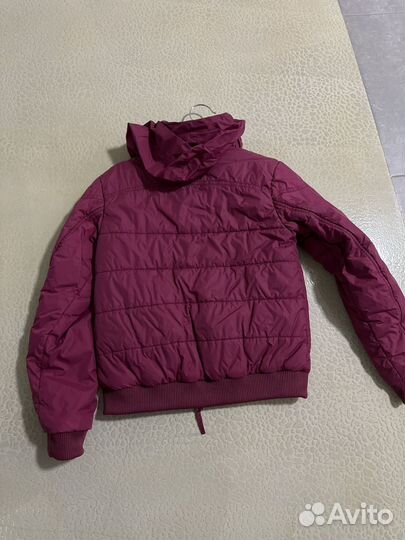 Куртка для конного спорта