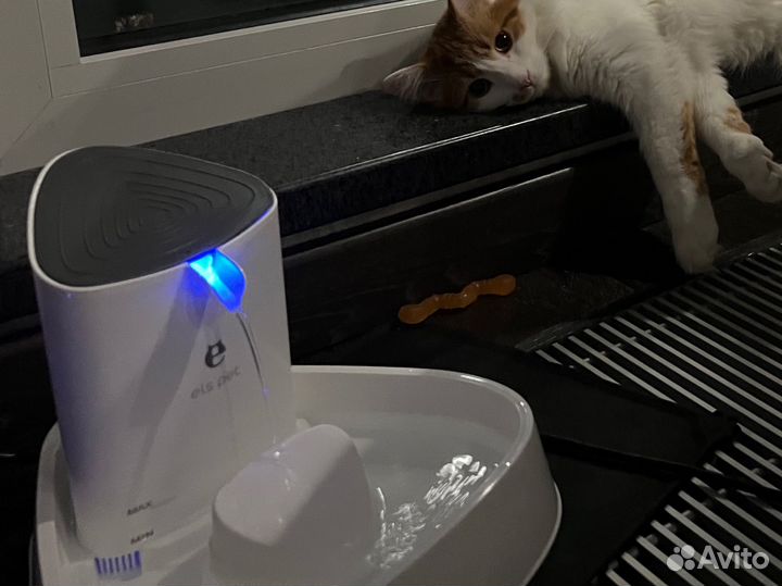 Автоматическая поилка для животных