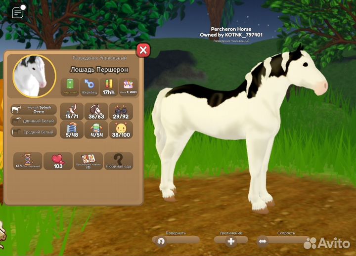 Острова диких лошадей вхи