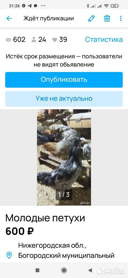 Продам петухов