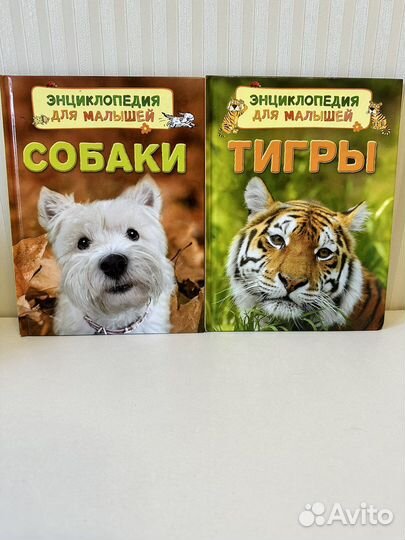 Детская энциклопедия