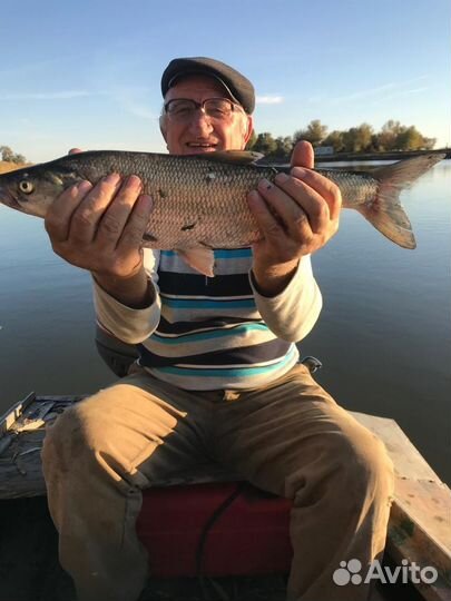 Изумительная рыбалка в дельте Волги