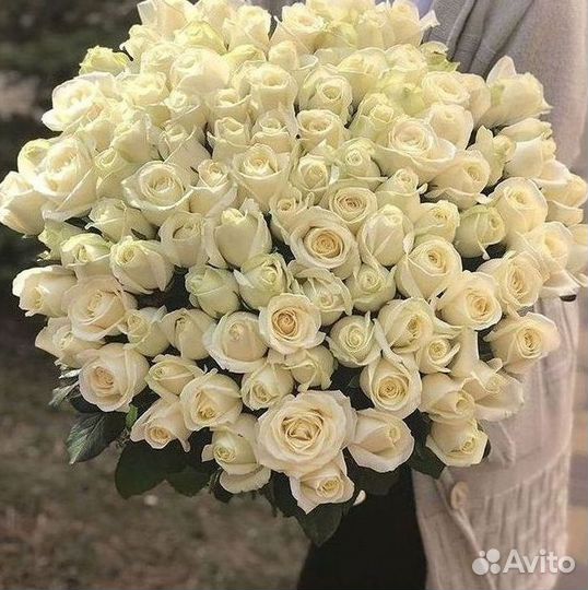 Высокие розы Гигантские розы с доставкой