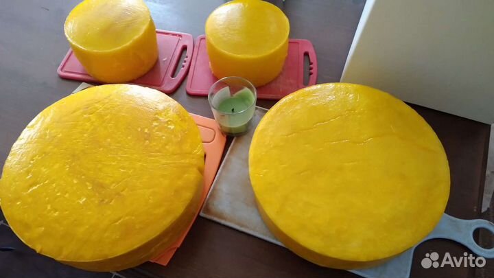 Молоко и молочные продукты