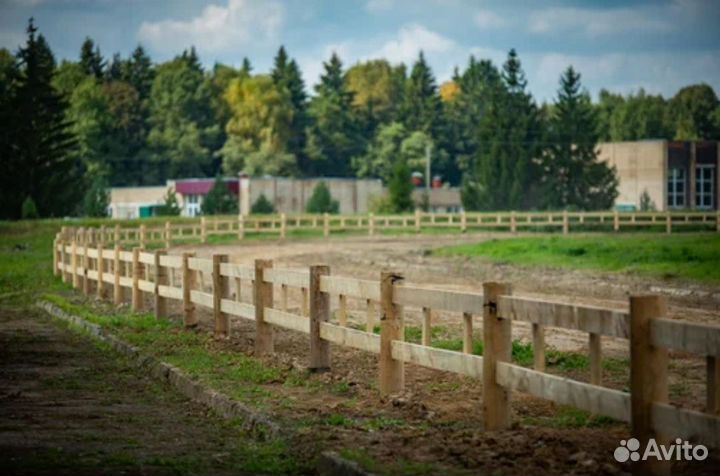 Приглашаем на постой и доращивание