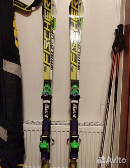 Горные лыжи fischer