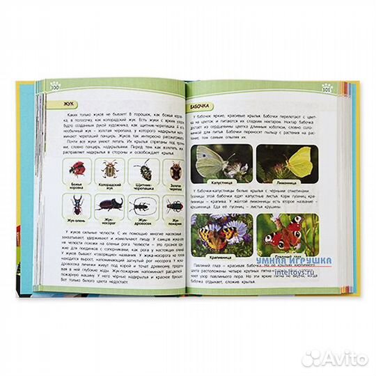 Полная энциклопедия дошкольника