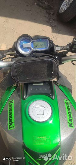 Regulmoto T- Leopard