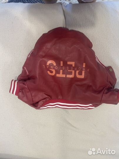 Одежда для собак