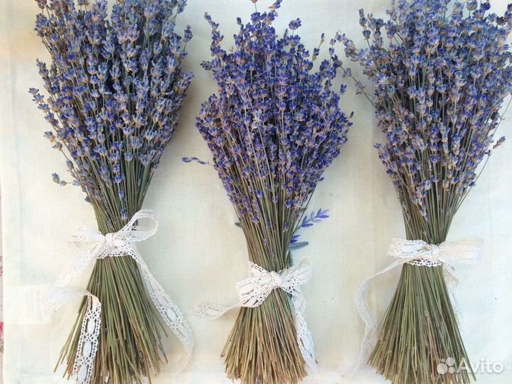 Лаванда сухоцвет 2022 урожай
