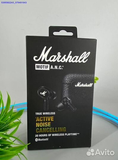 Marshall Motif A.N.C