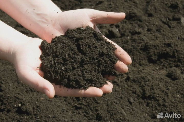 Чернозем, земля, грунт от производителя