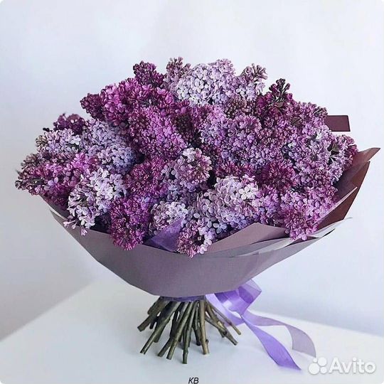 Сирень букет сирени