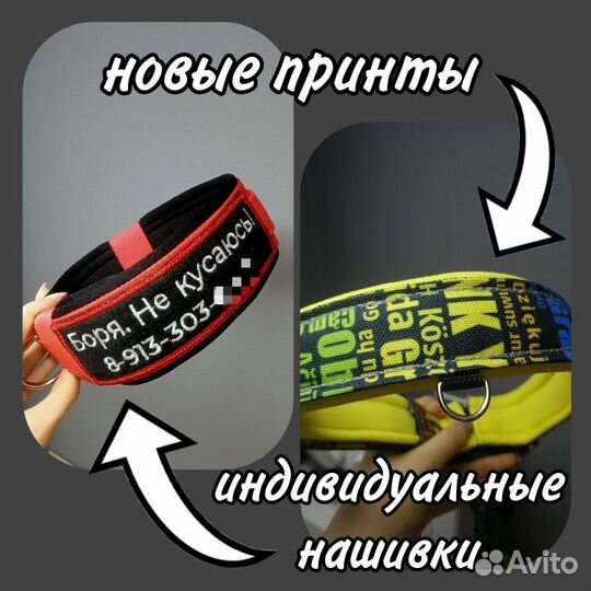 Ошейники, шлейки, недоуздки для собак