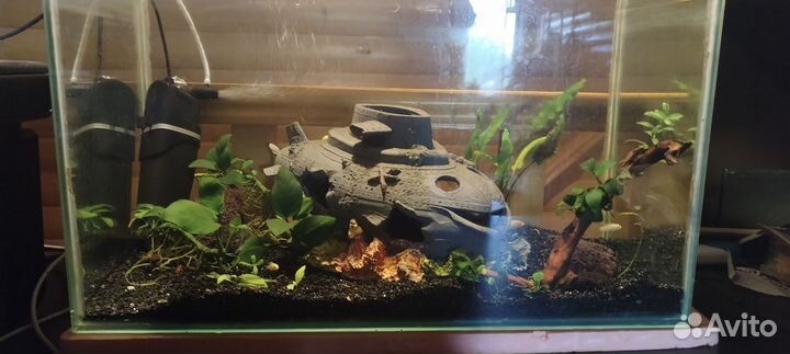 Аквариум с рыбками