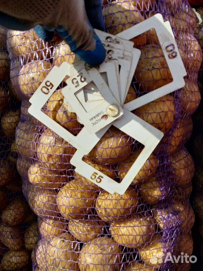 Картофель отборный 5+