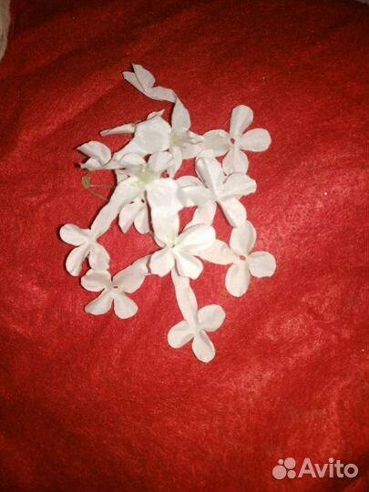 Интерерные аксессуары от 0,5 до 1,5м