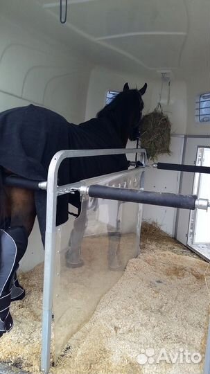 Перевозка лошадей, Перевозка коров, коз, овец