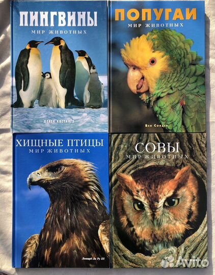 Мир животных Белфакс