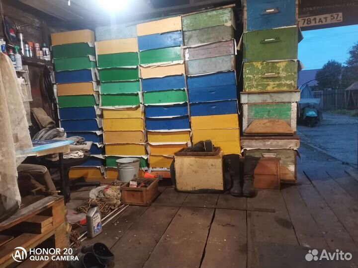 Улей с пчелами