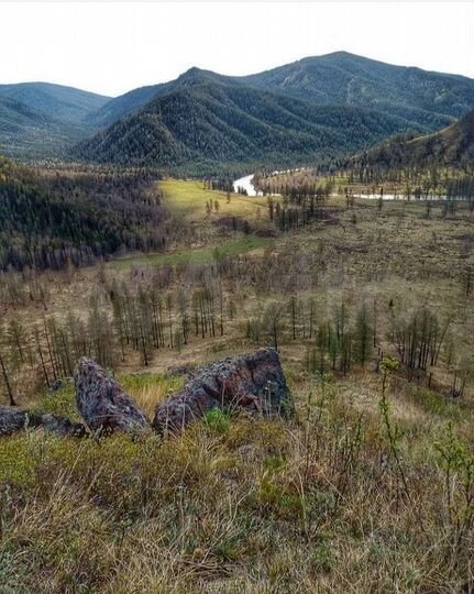 Участок 2,42 га (СНТ, ДНП)