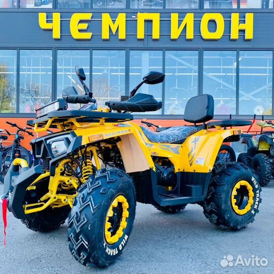 Квадроцикл Motoland Wild 200 Winch новый