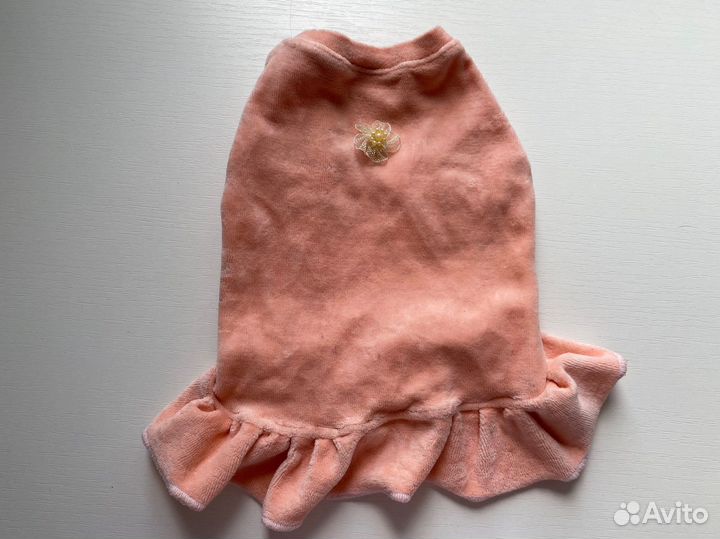 Одежда для животных