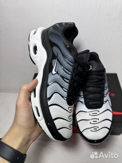 Кроссовки Nike Air Max TN Plus