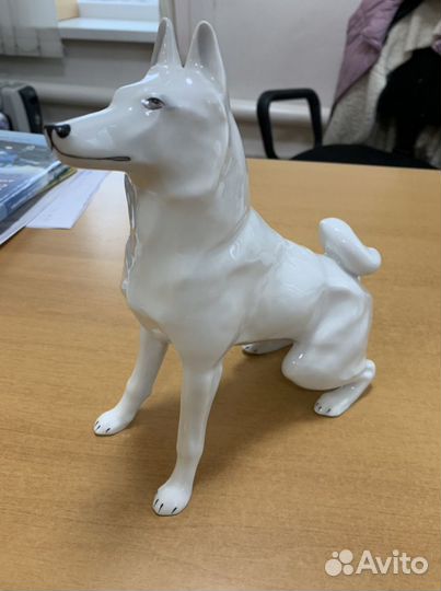 Лайка 18.2 см