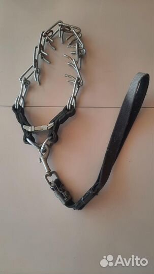 Поводки ошейники аммуниция для дрессировки собак