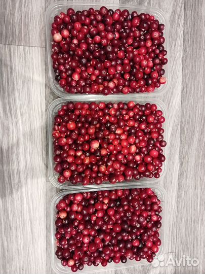 Клюква свежая