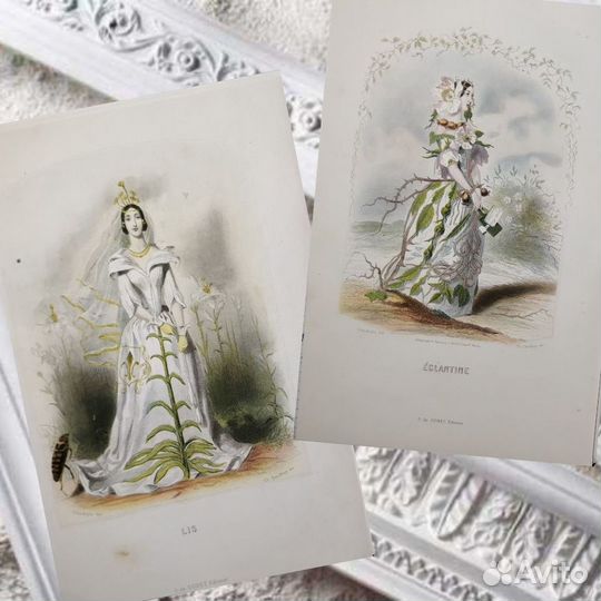 20 Антикварных гравюр Цветы Гранвиль 1852