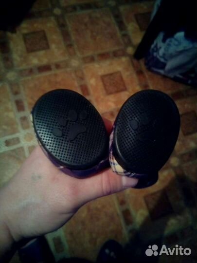 Обувь для собак