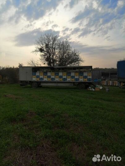 Прицеп пчеловоз, 1994