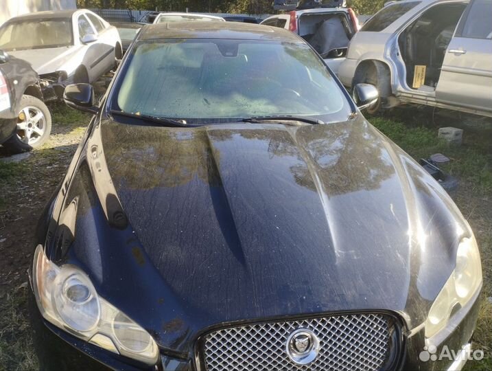 Капот Jaguar xf 2010