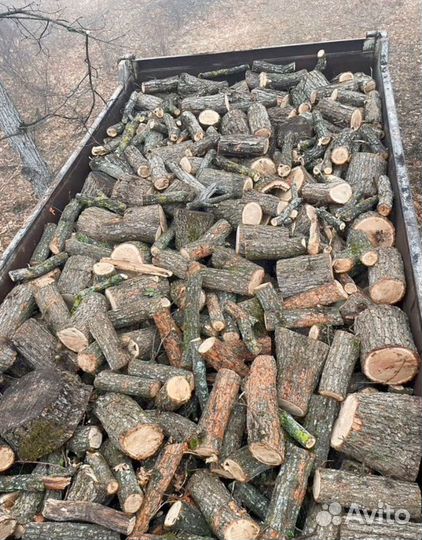 Дрова сухие