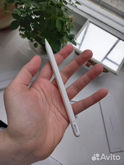 Стилусы apple pencil USB-C