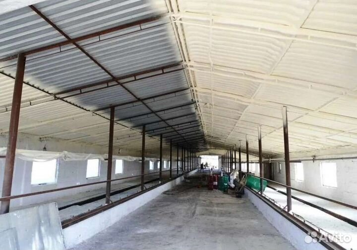 Напыление ппу