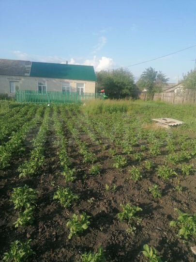 Дом 41,3 м² на участке 15 сот.