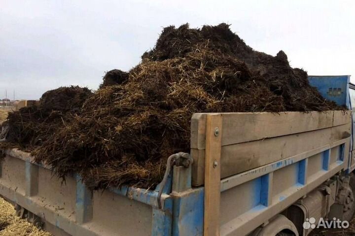Навоз, перегной, торф с доставкой