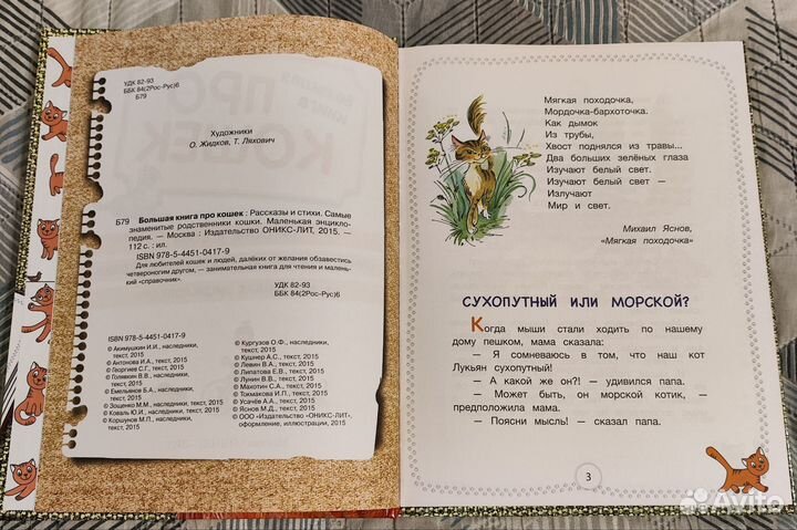 Большая книга про кошек