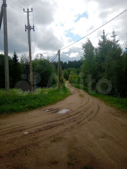 Участок 20 сот. (СНТ, ДНП)