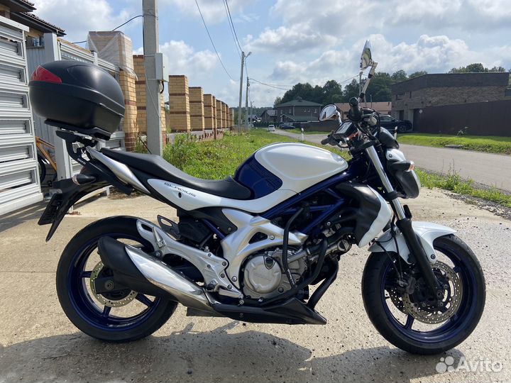 Suzuki SFV 400 gladius