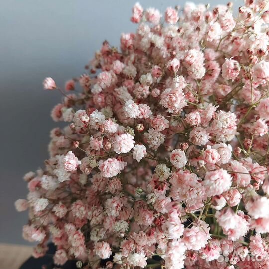 Букет цветов Гипсофила Доставка букетов