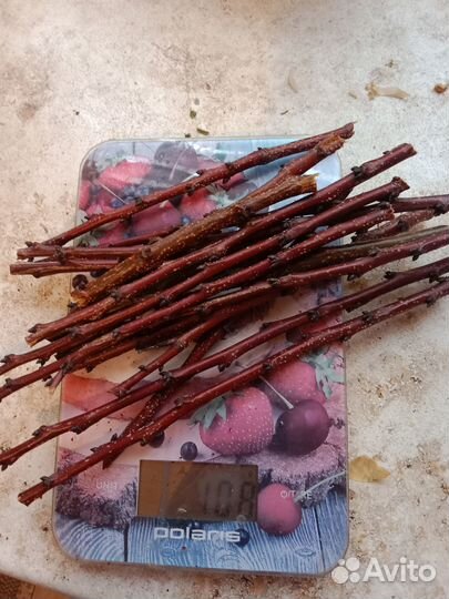 Ветки для животных