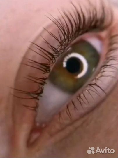 Обучение мастер бровист