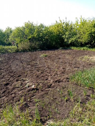 Дача 12 м² на участке 6 сот.