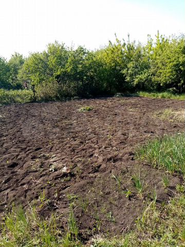 Дача 12 м² на участке 6 сот.