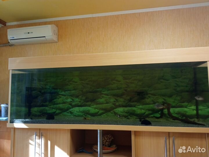 Аквариум с тумбой и крышкой бу 924 литра